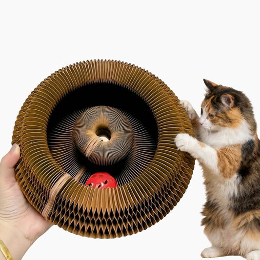 RollKratz | Interaktives Katzenspielzeug