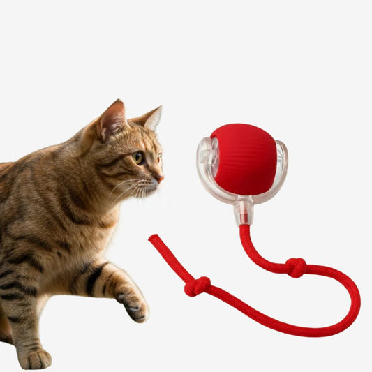 ChaseBall Pro | Katzenspielzeug