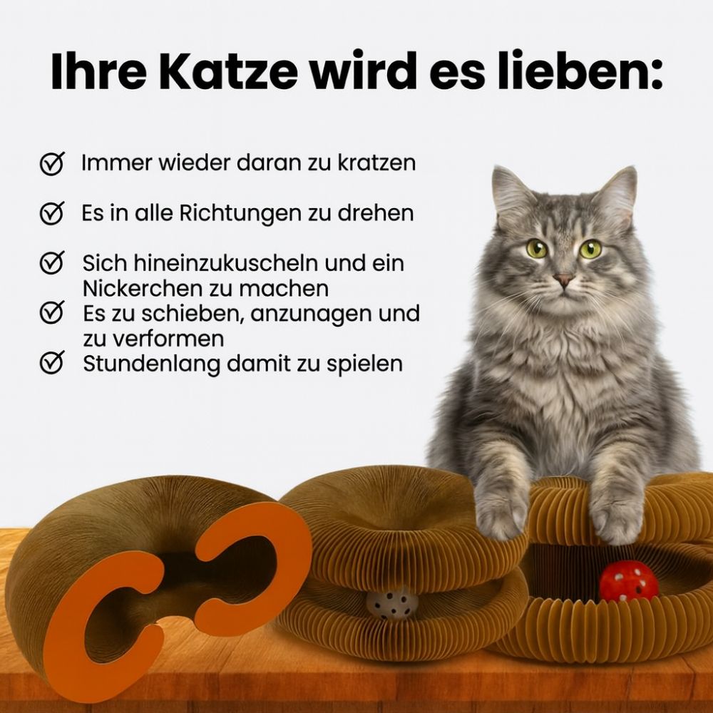 RollKratz | Interaktives Katzenspielzeug