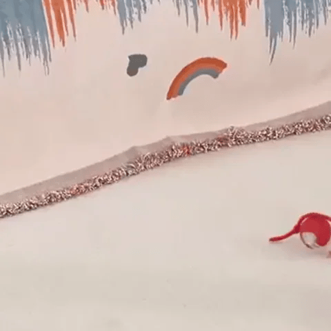 ChaseBall Pro | Katzenspielzeug