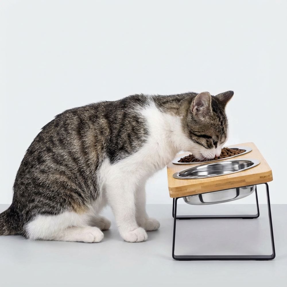 ErgoWood Katzennapf | Erhöht & 15° geneigt