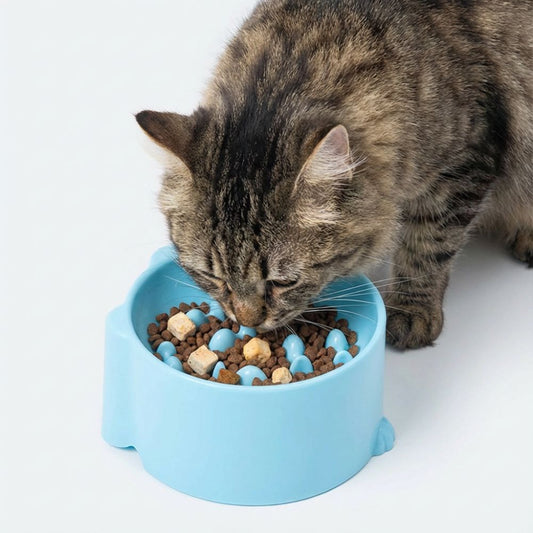 SlowFeeder Katzennapf